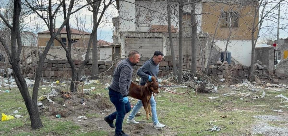 Saldırgan Köpeğin Resmî Olmayan Sahibi Ortaya Çıktı