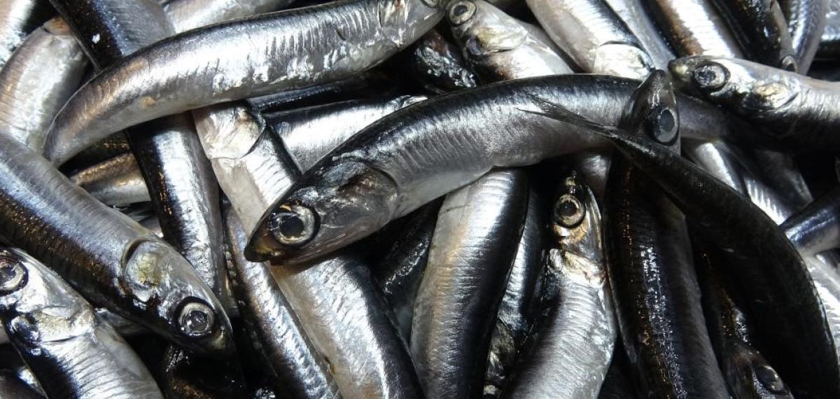 Savaş Halindeki Ülke İhracatta İlk Sırayı Aldı