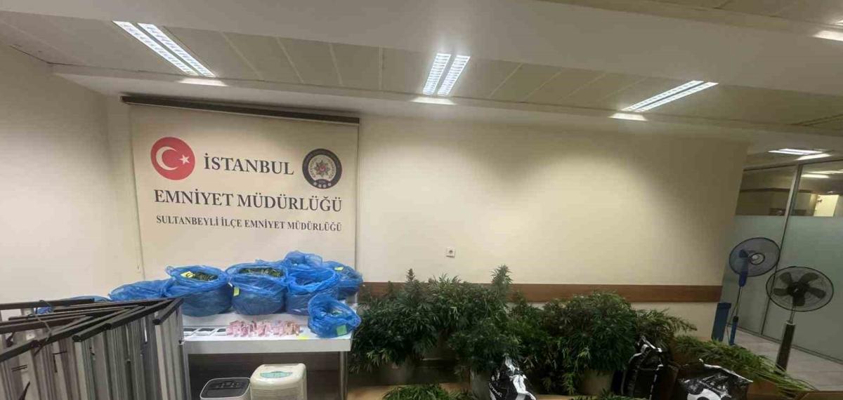 Sultanbeyli’de Kenevir Serasına Baskın: 21 Kilo Hint Keneviri Ele Geçirildi