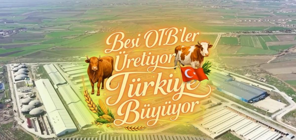 Suluova Besi Otb’de 15 Bin 650 Büyükbaş Kapasite, Bin 500 Kişiye İstihdam