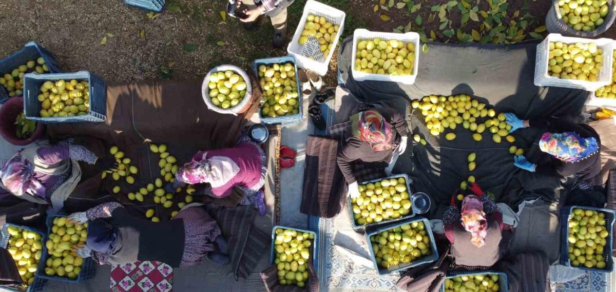 Tarım-Üfe Yıllık Yüzde 40,10 Arttı