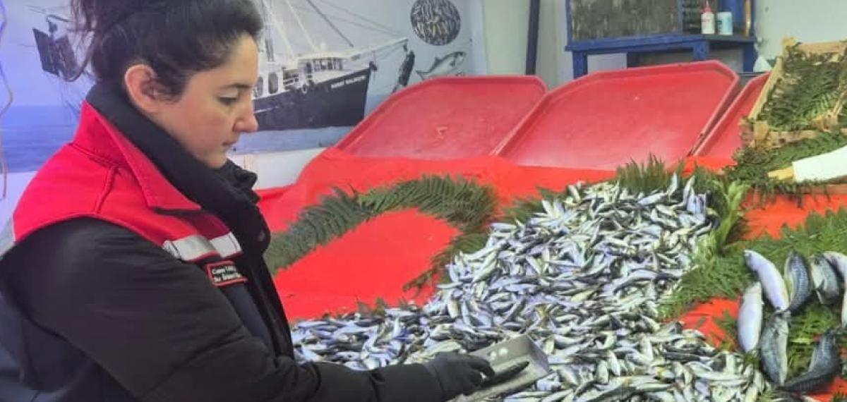 Tekirdağ’da Su Ürünlerine Sıkı Denetim