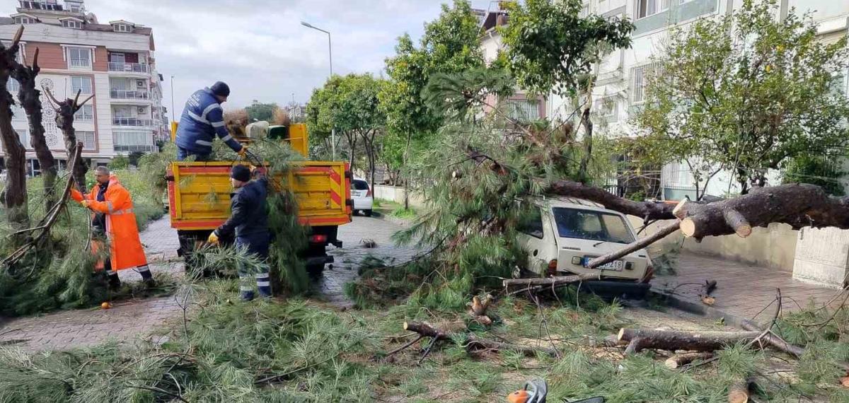 Üzerine Ağaç Devrilen Park Halindeki Araç Zarar Gördü