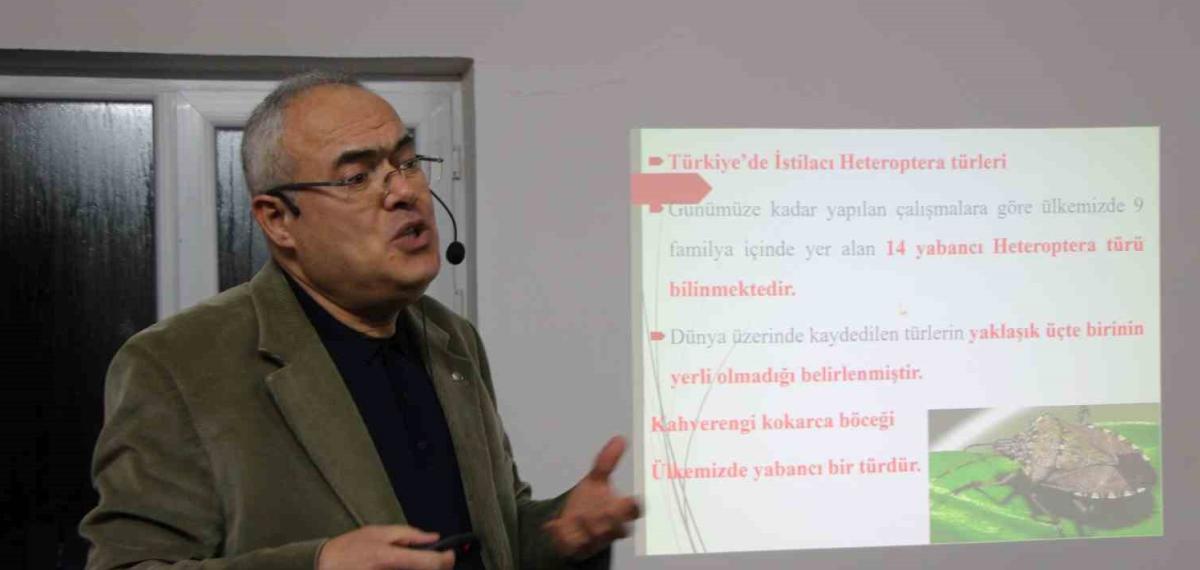 Uzmanı Kahverengi Kokarca İçin Tarih Verdi: “2030 Yılından İtibaren Gündemden Çıkmaya Başlayacak”