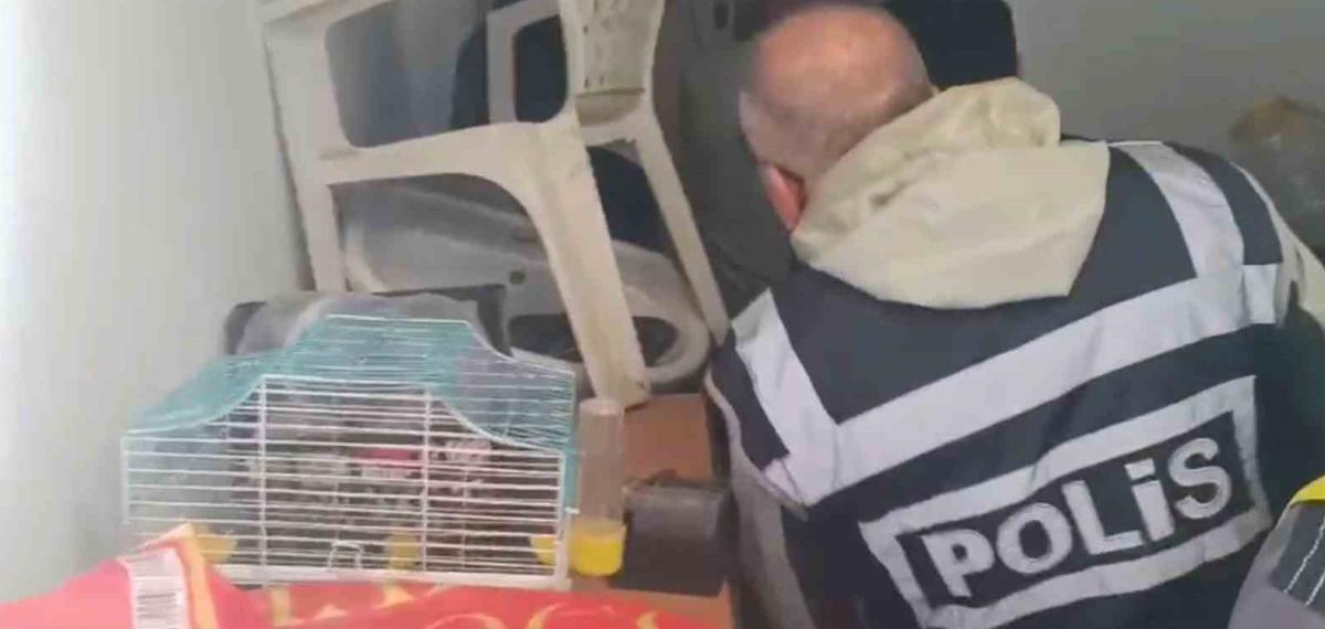 Yabancı Turistlerin Kredi Kartlarını Kötü Amaçlı Kullanan 4 Şüpheli Yakalandı