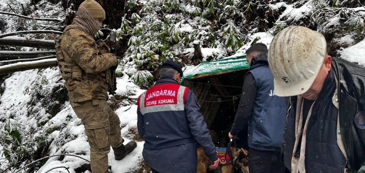 Zonguldak’ta Ruhsatsız 10 Maden Ocağı Kapatıldı