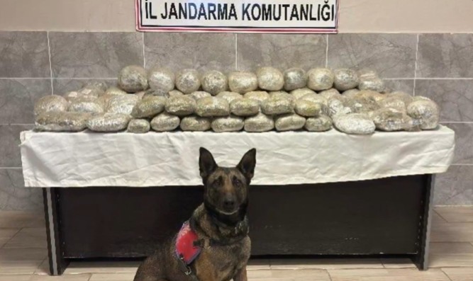 Van ve Hakkari’de Dev Narkotik Operasyonu: 446 Kg Uyuşturucu Ele Geçirildi, 8 Şüpheli Yakalandı