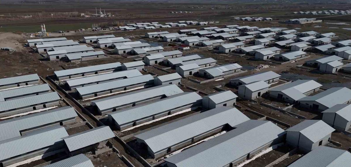 Ağrı’da 307 Ahırlık Hayvancılık Üssü Hayata Geçiyor