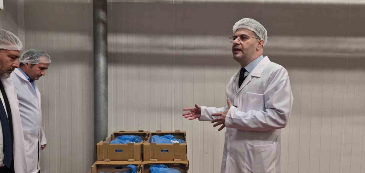 Anadolu Üniversitesi’nden Yemek Üretiminde Örnek Model