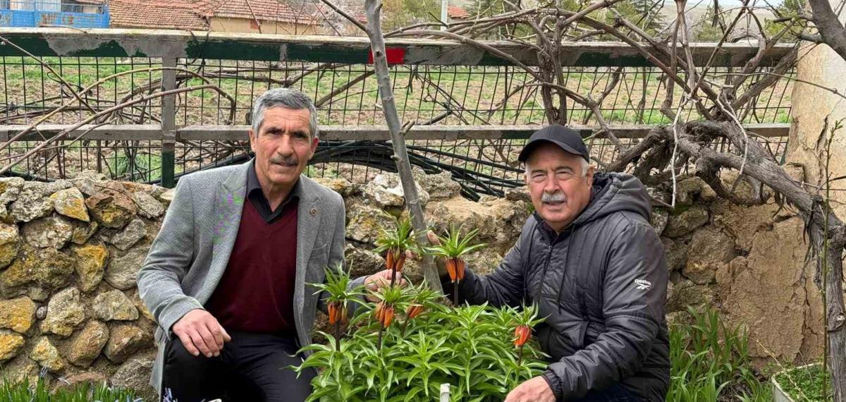Bu Laleleri Gözleri Gibi Koruyorlar