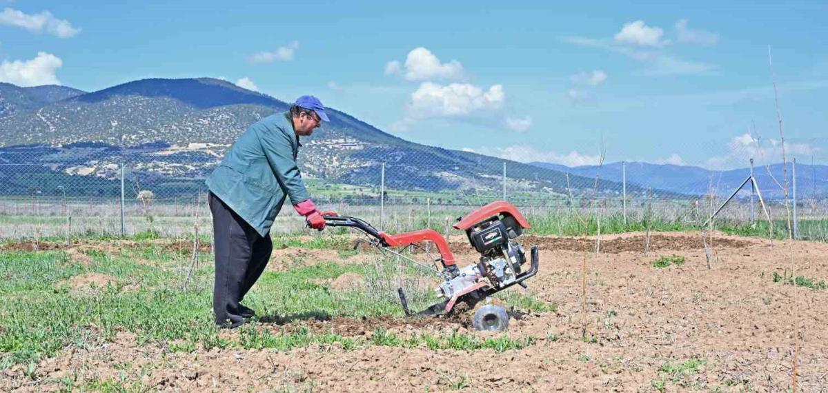 Büyükşehir İpek Böceği Yetiştiriciliğini Yaygınlaştırıyor