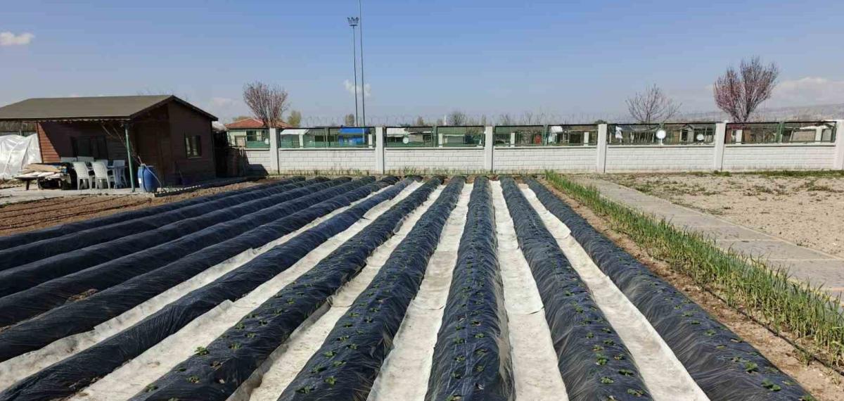Büyükşehirin Doğal Ürünler Bahçesi ve Pazarı’nda Yeni Sezon Hazırlığı