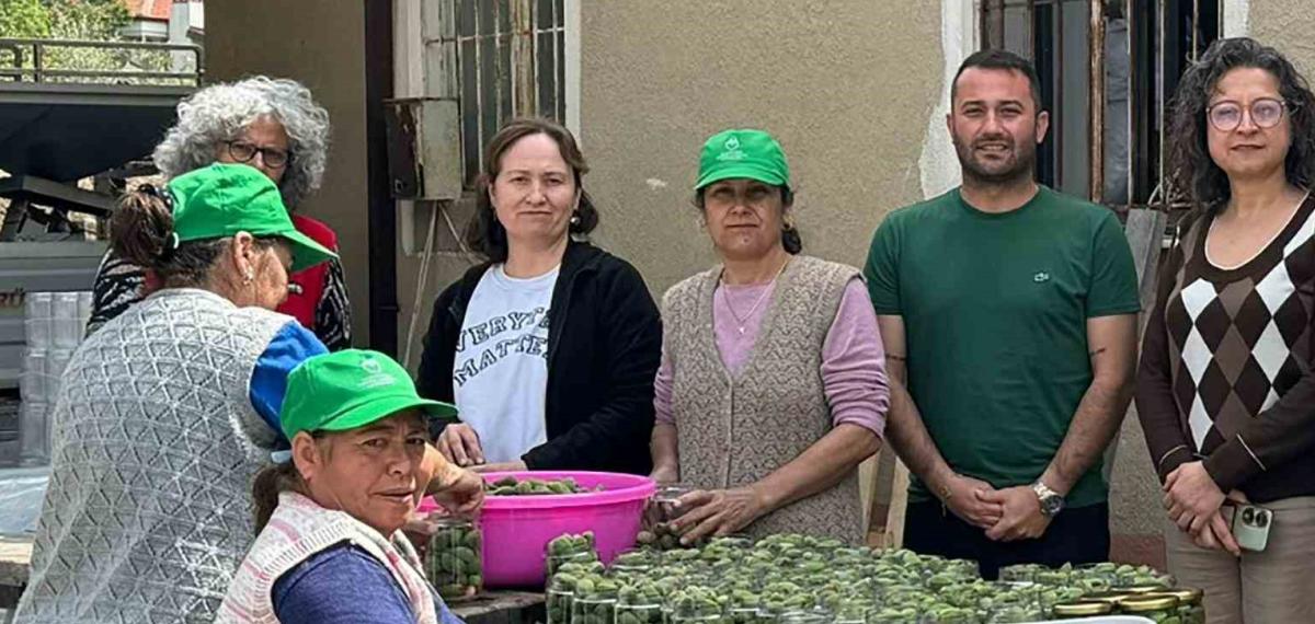 Çağla Turşusundan Kadın Üreticilere Ekonomik Katkı