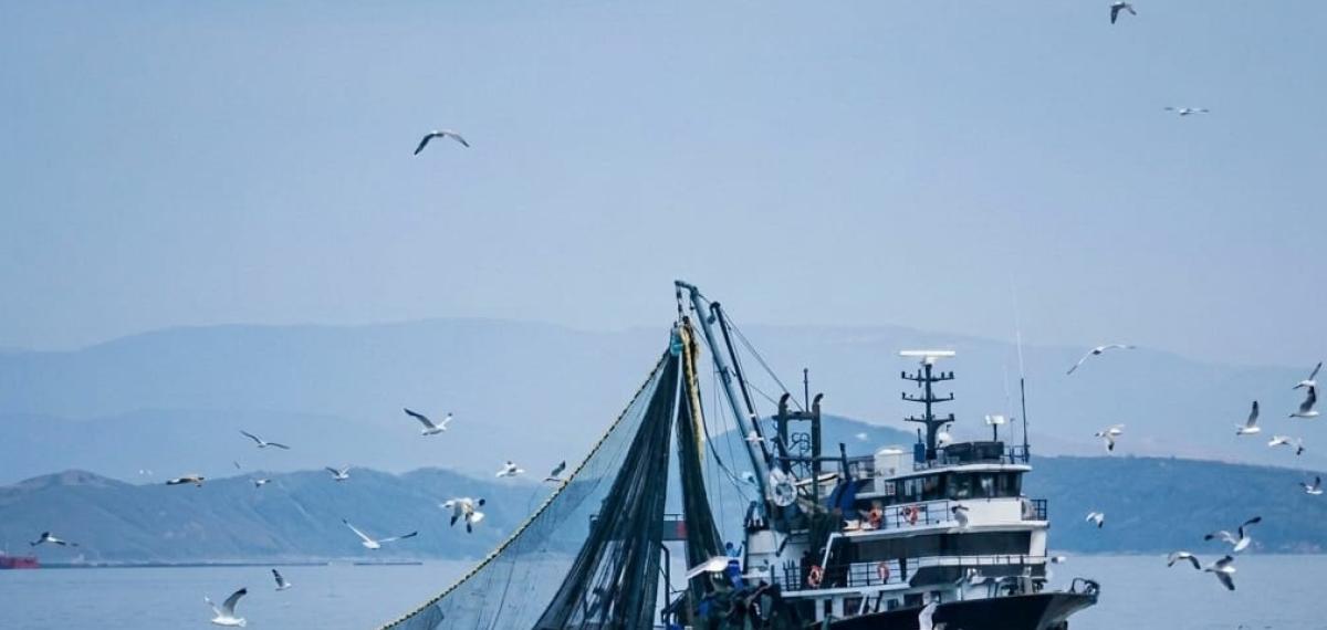 Denizlerde Av Yasağı 15 Nisan’da Başlıyor