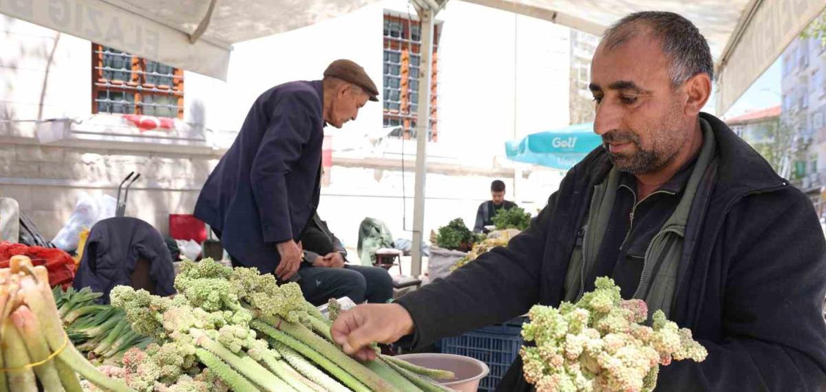 Doğu’nun Vitamin Deposu Muzu ‘Işkın’ Tezgahlarda Yerini Aldı