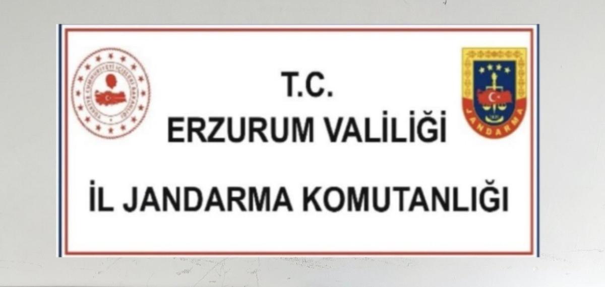 Erzurum’da Tarihi Eser Operasyonu