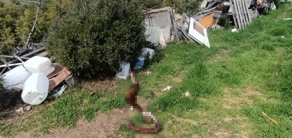 Hepsi Zabıta Ekiplerinin Baskınında Ortaya Çıktı