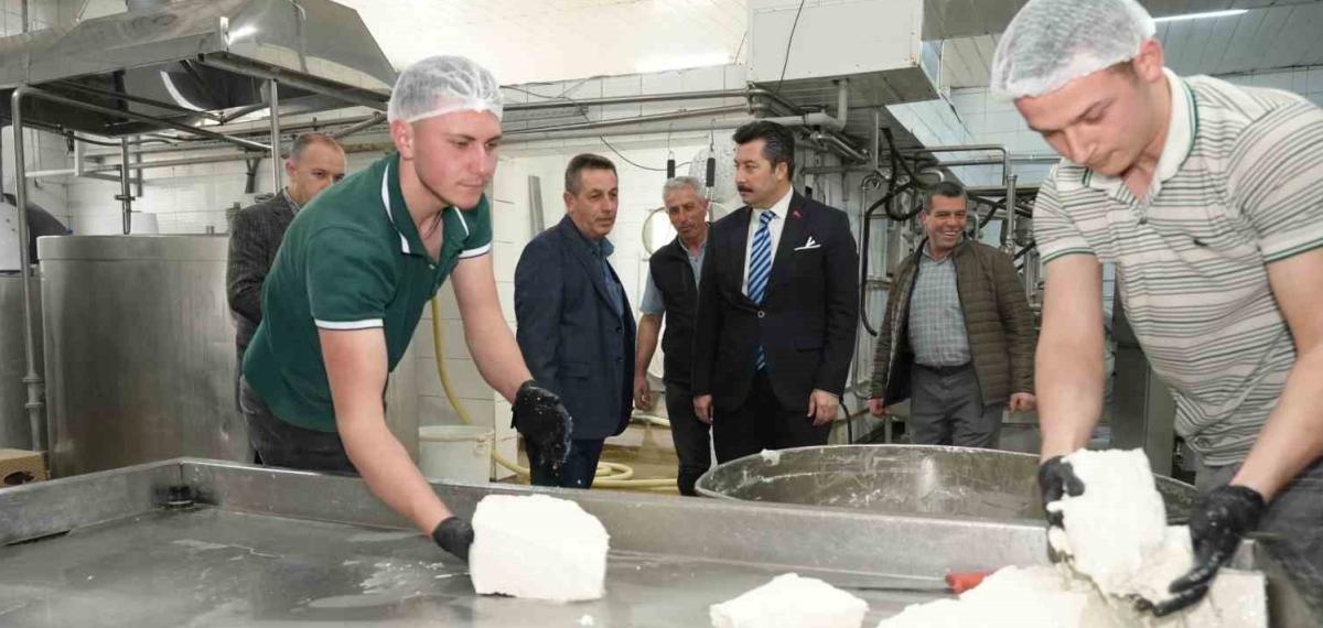 Her Gün 3,5 Ton Sütten 12 Çeşit Peynir Üretiyorlar