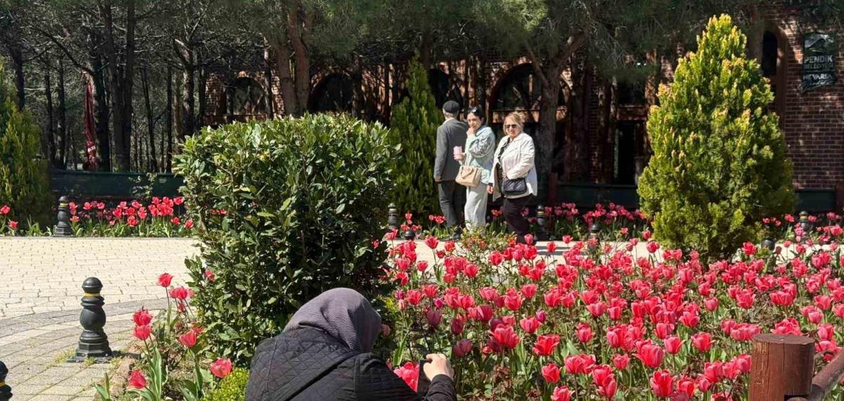 İstanbul’da Lale Zamanı Başladı, Pendik Korusu’nda Renk Cümbüşü Yaşandı