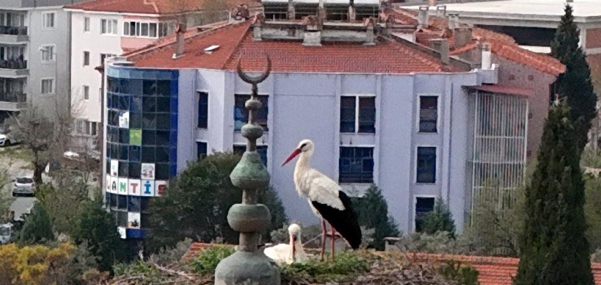 Menteşe’nin Sadık Misafirleri Geldi, 30 Yıllık Gelenek Bozulmadı