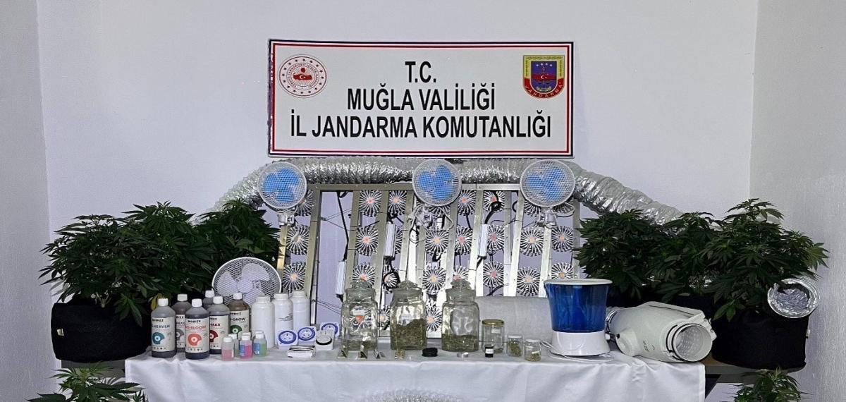 Muğla Jandarmasından Zehir Tacirlerine Mart Ayı Darbesi: 173 Gözaltı