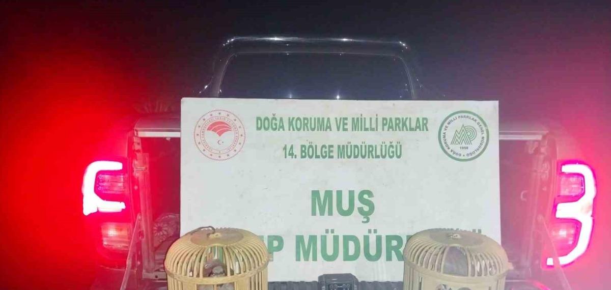 Muş’ta Kaçak Keklik Avına Suçüstü: 65 Bin TL Ceza Kesildi
