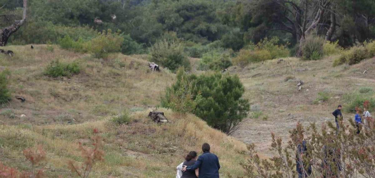 Ormanlık Alanda Bir Kişinin Cansız Bedeni Bulundu