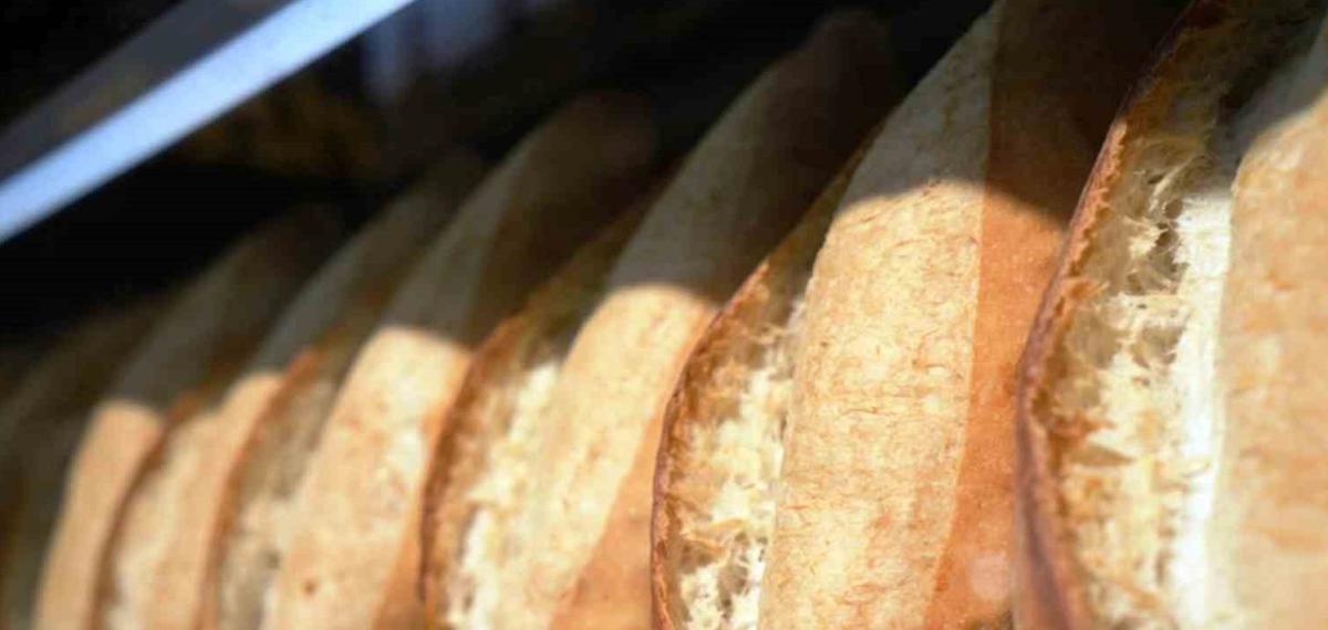 Samsun’da Ekmeğe ‘Zam’ Sinyali