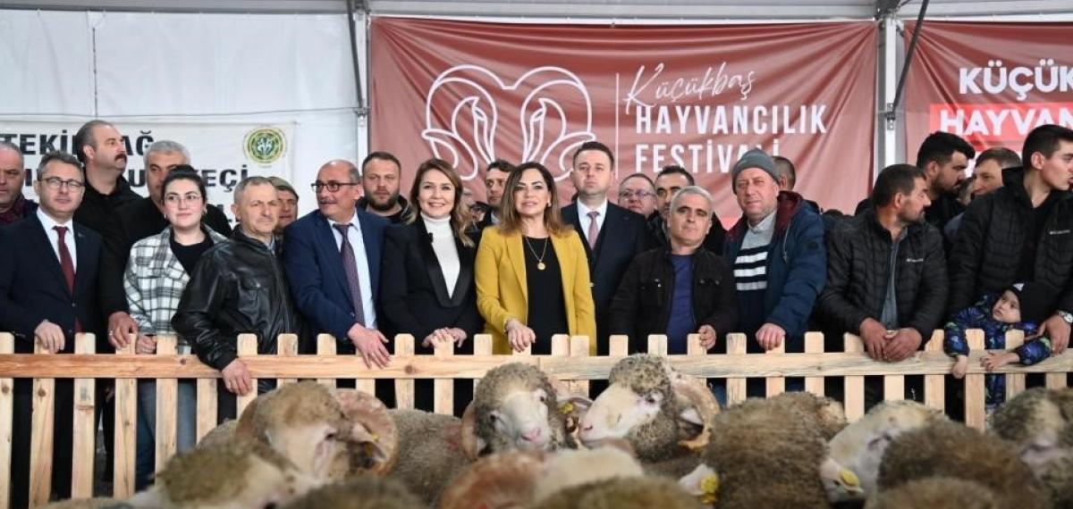 Tekirdağ’da Küçükbaş Hayvancılık Festivali