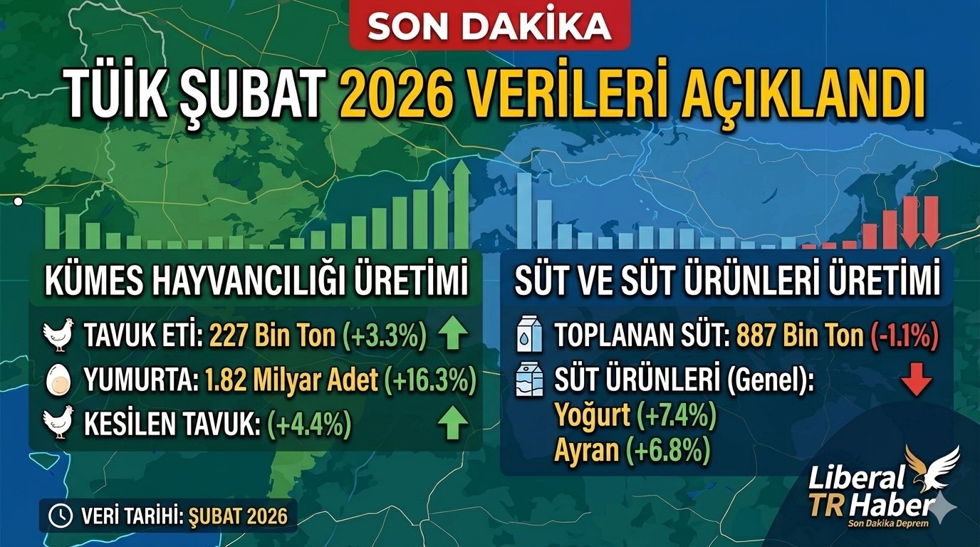 TÜİK Verileri: Tavuk Eti 227 Bin Ton, Yumurta 1,82 Milyar Adet; Süt 887 Bin Ton