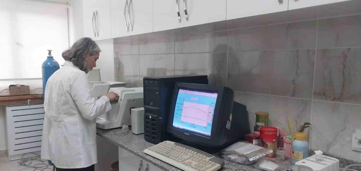 Türk Profesörlerin Yürüttüğü Sodyum-İyon Batarya Projesinde Laboratuvar Çalışmaları Tamamlandı