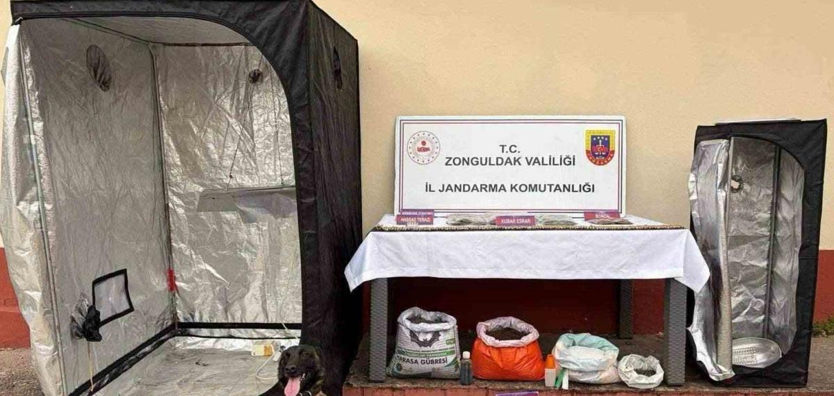 Zonguldak’ta Jandarmanın Uyuşturucu Operasyonunda 2 Şüpheli Tutuklandı