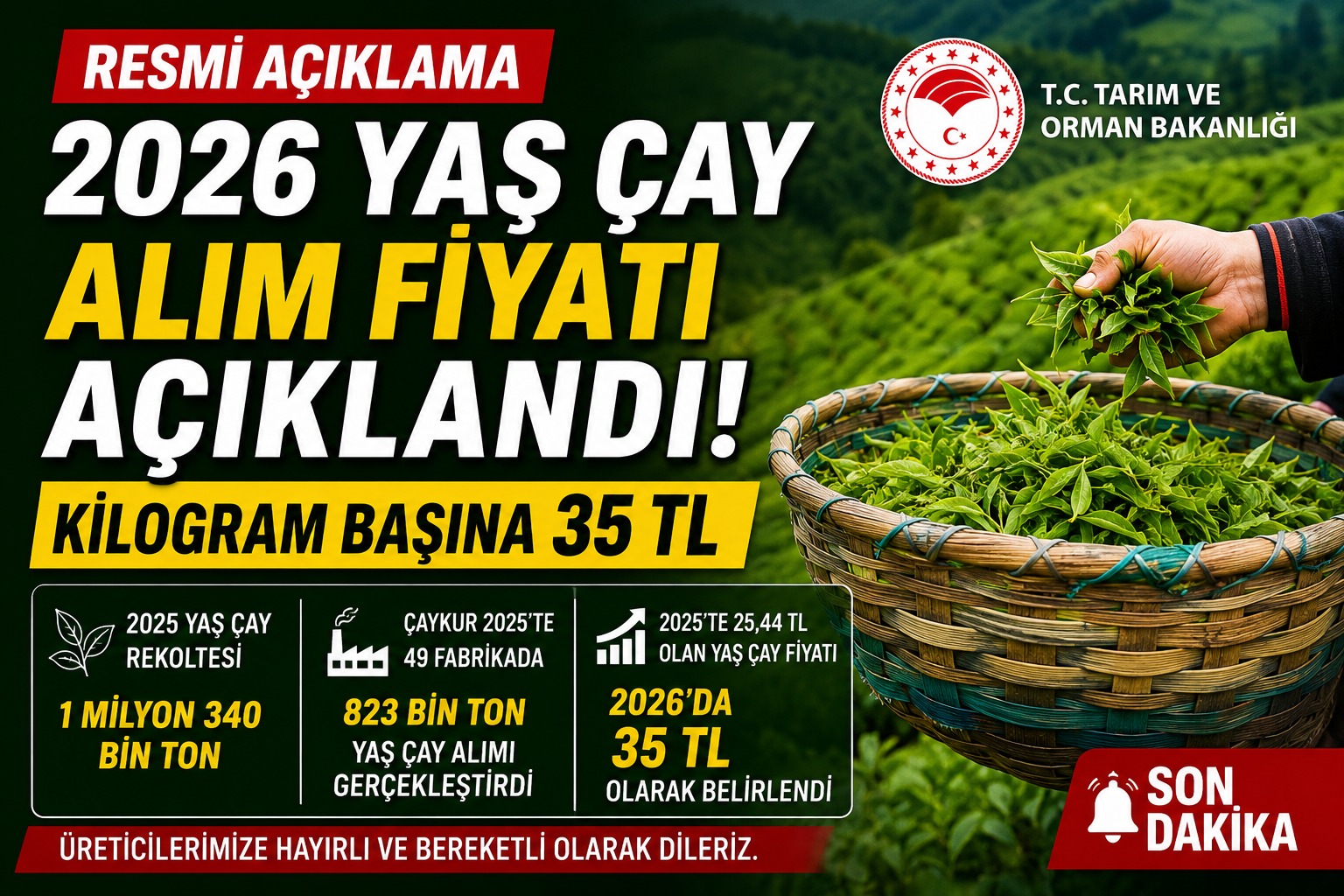 2026 Yaş Çay Alım Fiyatı Açıklandı: 35 TL Olarak Belirlendi