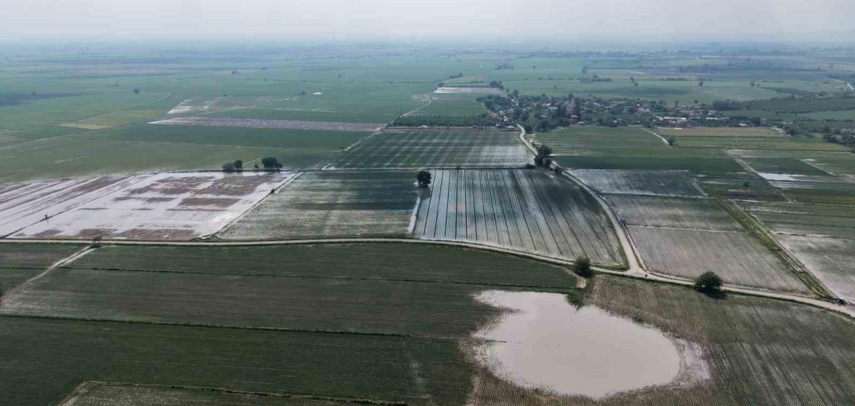 Adana’da Tarım Arazileri Sular Altında Kaldı