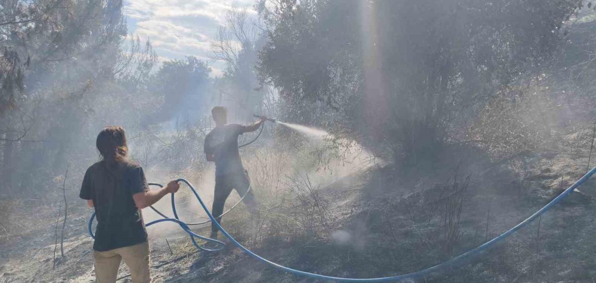 Antalya’da Ormanlık Alanda Yangın