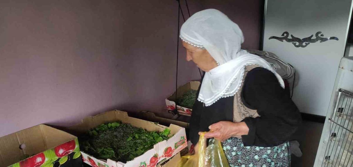 Batman’da 72 Aileye İpek Böceği Larvası Dağıtıldı