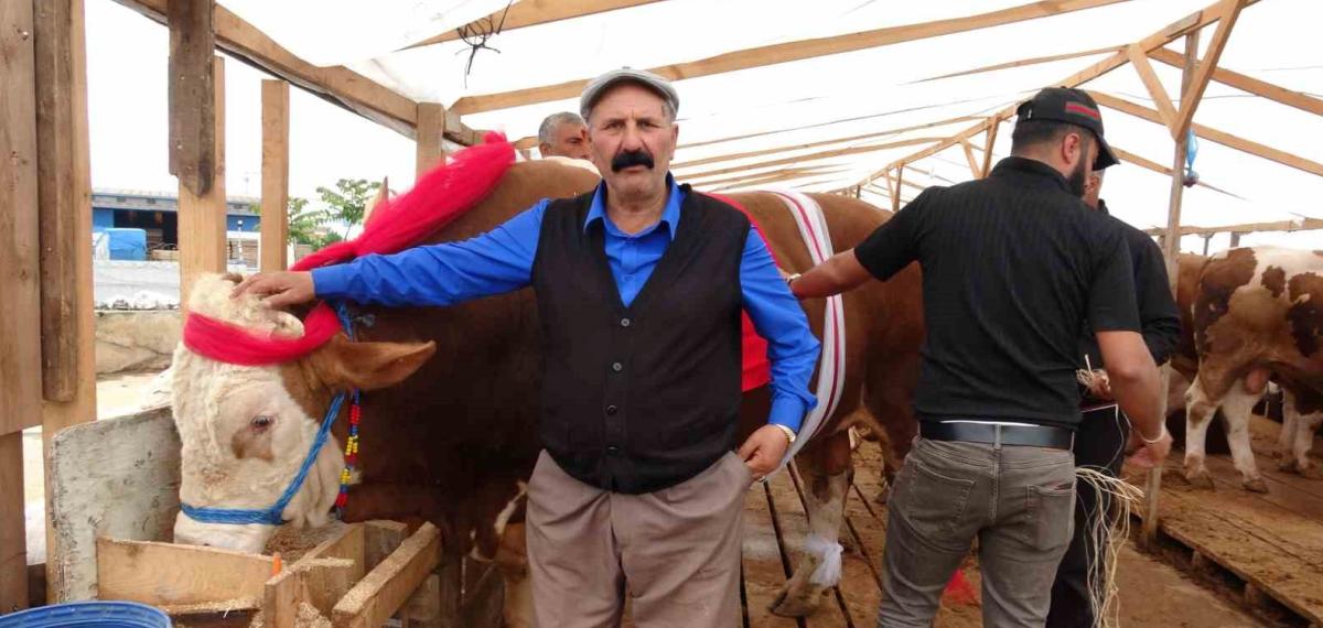 Bayram Öncesi “Baron” ve “Kral” Ataşehir’de Görücüye Çıktı: “Şu Anda Rakibi Yok, İstanbul’da Tek”