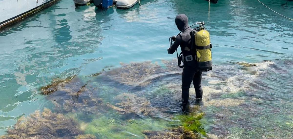 Beşiktaş Arnavutköy Sahili’nde Midye Salyangoz Toplamak İçin Denize Dalan Şahıs 12 Saattir Aranıyor
