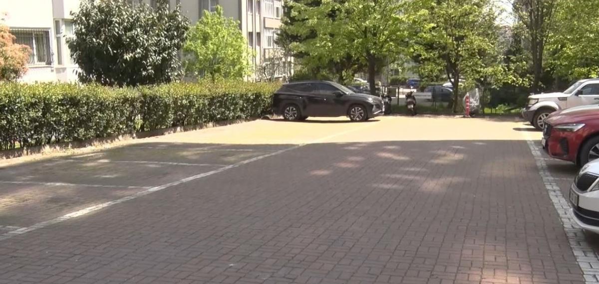 Beylikdüzü’nde Başıboş Köpekler Vatandaşı Kovaladı