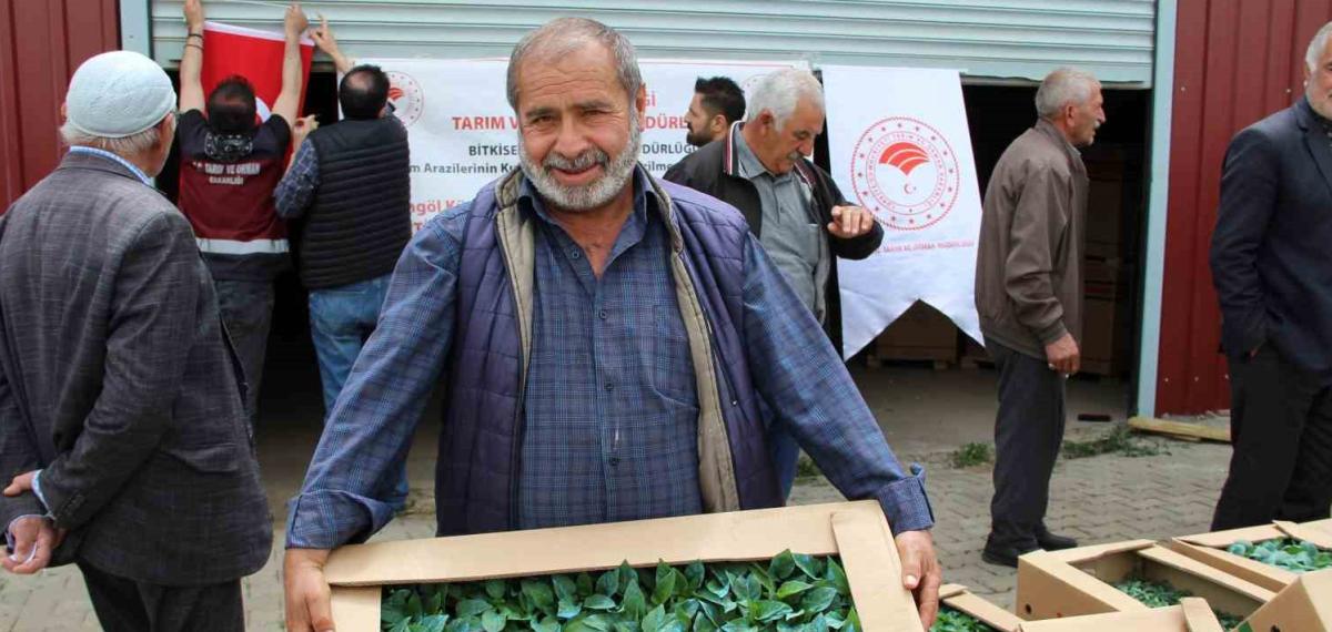 Bingöl’de 330 Bin Sebze Fidesi Üreticilere Dağıtıldı