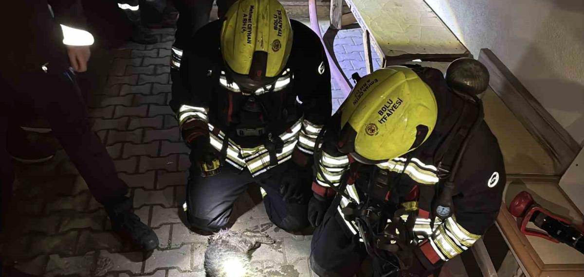 Bolu’da Apartman Dairesinde Korkutan Yangın: Evin Kedisi Telef Oldu