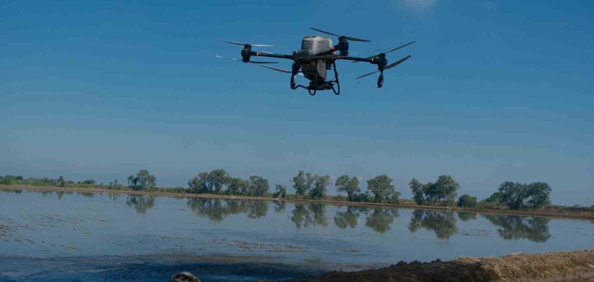 Dron ile Çeltik Ekimi