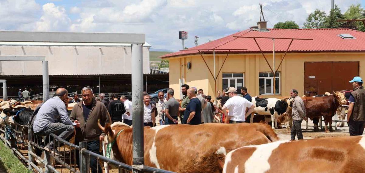 Elazığ Hayvan Pazarı’nda Arife Günü Yoğunluğu
