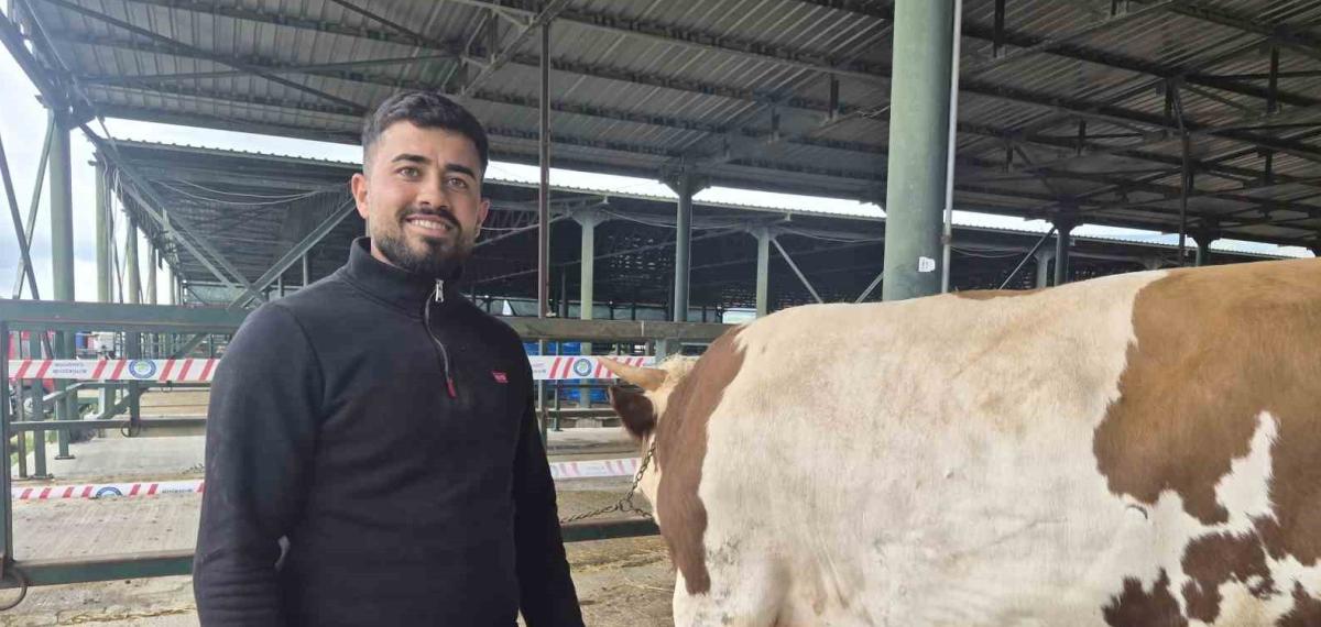 Eskişehir Hayvan Pazarı’nın Şampiyon Danası Görücüye Çıktı