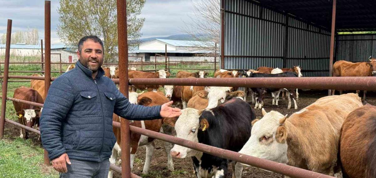 Eskişehir’de Büyükbaş Kurbanlık Bitti, Üreticinin Yüzü Güldü
