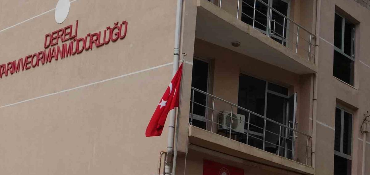 Giresun’un Dereli İlçe Tarım ve Orman Müdürlüğü’nde Kamu Zararı İddialarıyla İlgili Soruşturma Başlatıldı