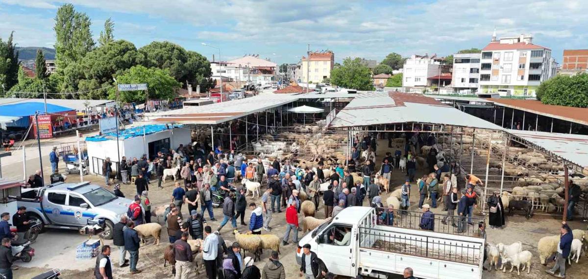 Havran Hayvan Pazarı’nda Tarihi Arefe Yoğunluğu