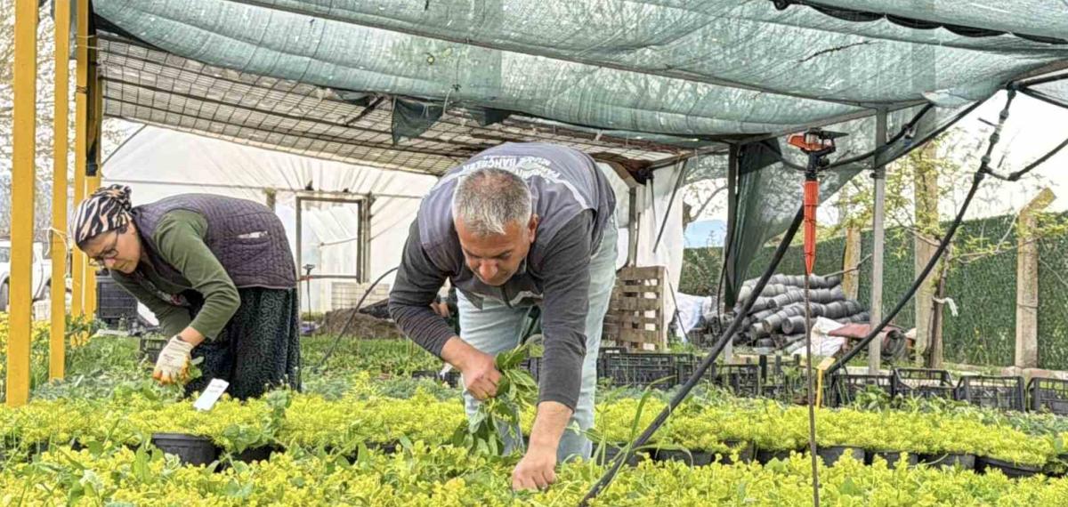 İklim Değişikliği ve Kuraklık Nedeniyle Su Tasarruflu Peyzaj Dönemi