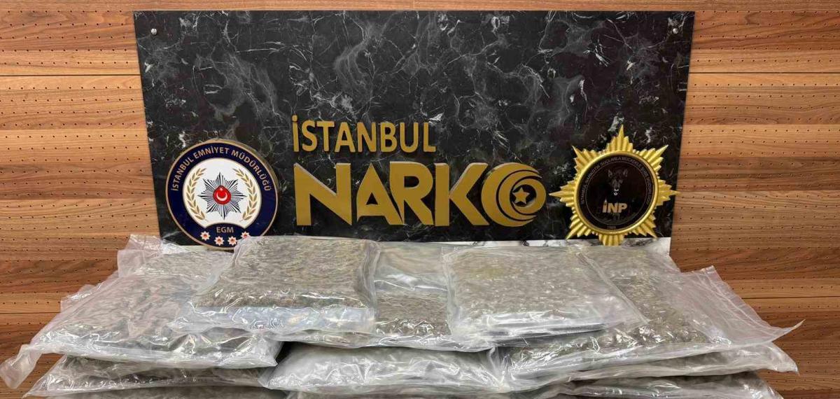 İstanbul’da Uyuşturucu Operasyonu: 58 Kilo Gram Skunk Ele Geçirildi