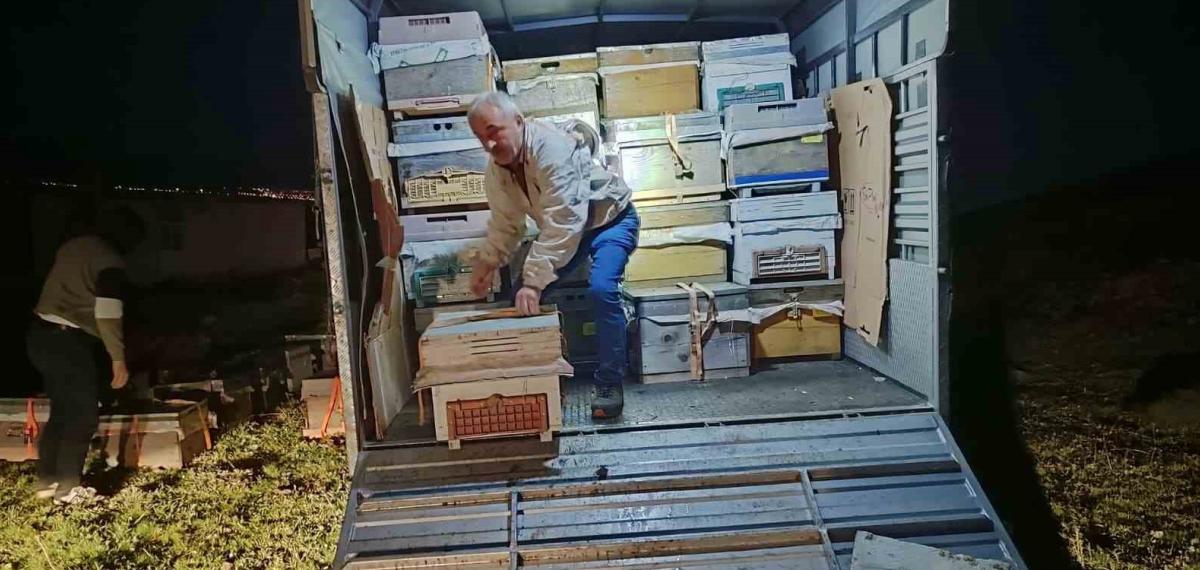 Karadeniz’in Gezgin Arıcıları Yeni Sezon İçin Doğu Anadolu’nun Dağlarını Mesken Tuttu